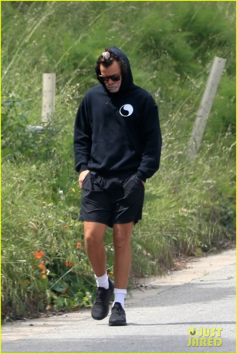harry styles goes for walk after bumping into kendall jenner 11