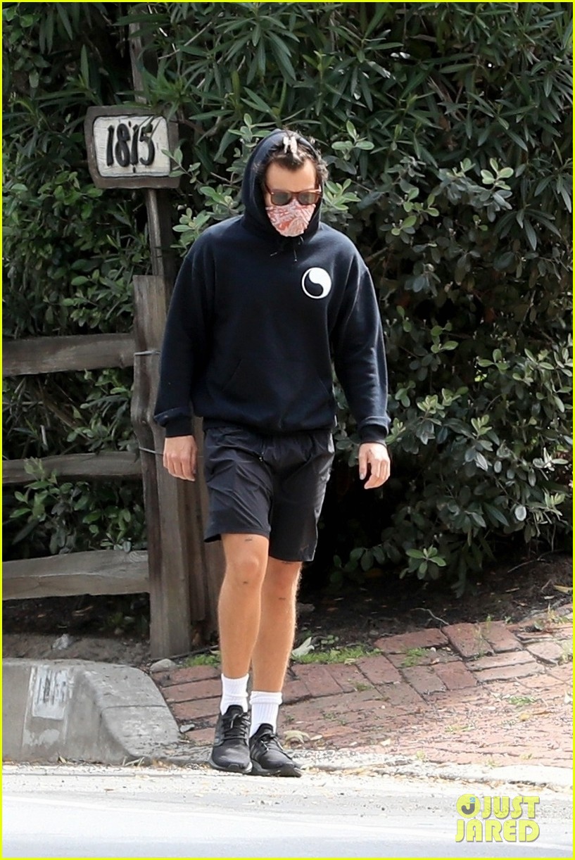 harry styles goes for walk after bumping into kendall jenner 13
