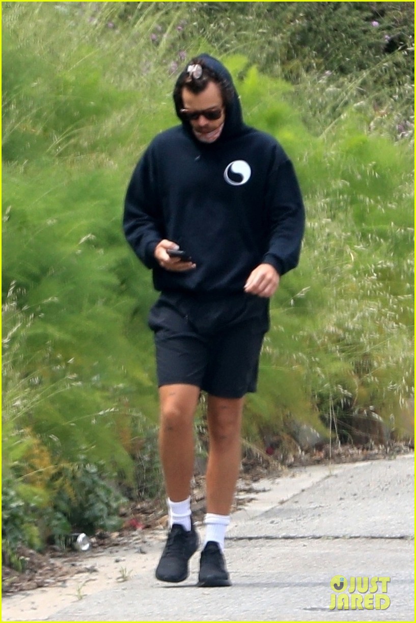 harry styles goes for walk after bumping into kendall jenner 15