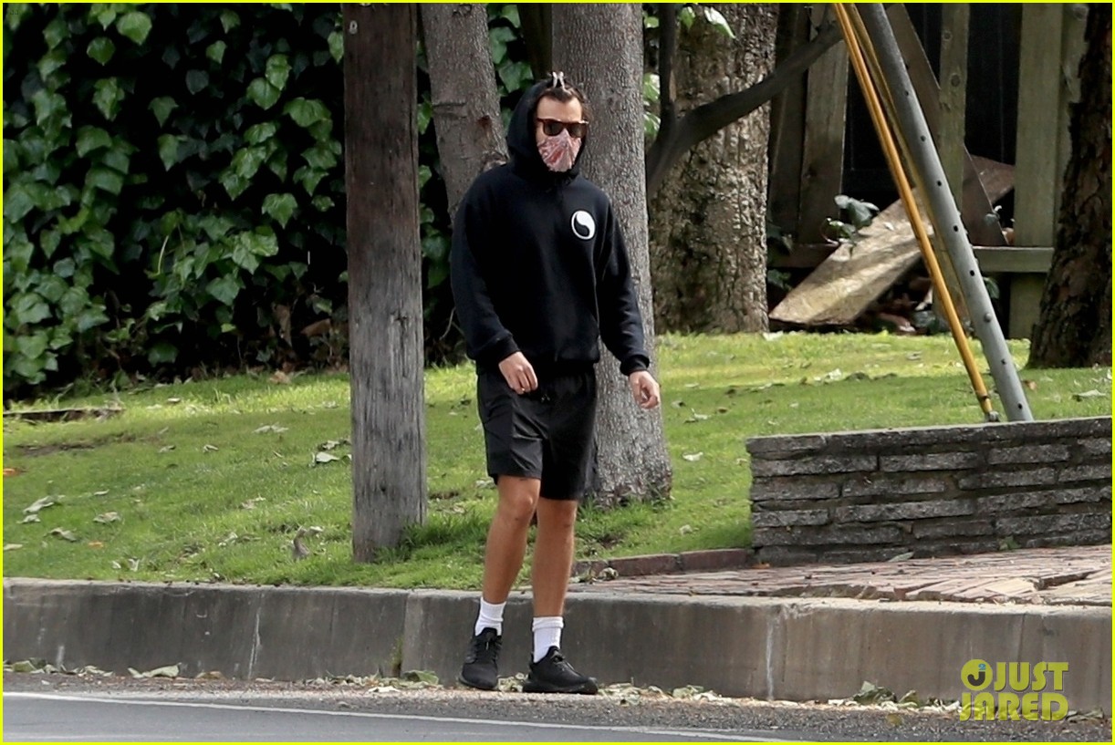 harry styles goes for walk after bumping into kendall jenner 23