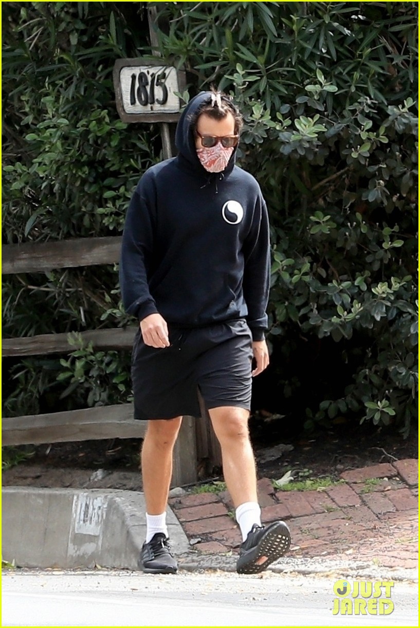 harry styles goes for walk after bumping into kendall jenner 24