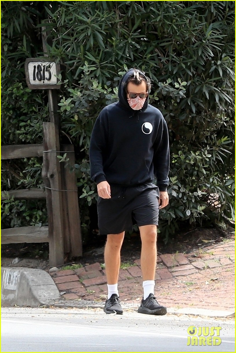 harry styles goes for walk after bumping into kendall jenner 32