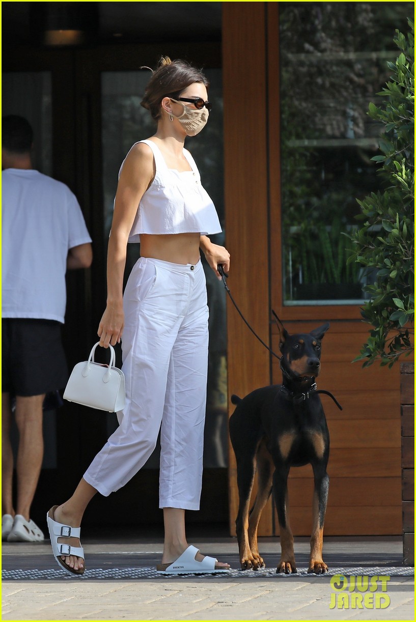 kendall jenner brings her dog six to lunch with friends 01