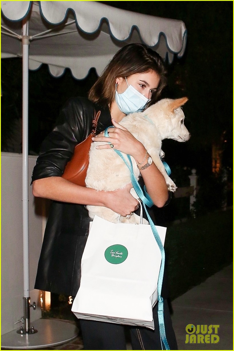kaia gerber brings her dog to dinner with jacob elordi 02