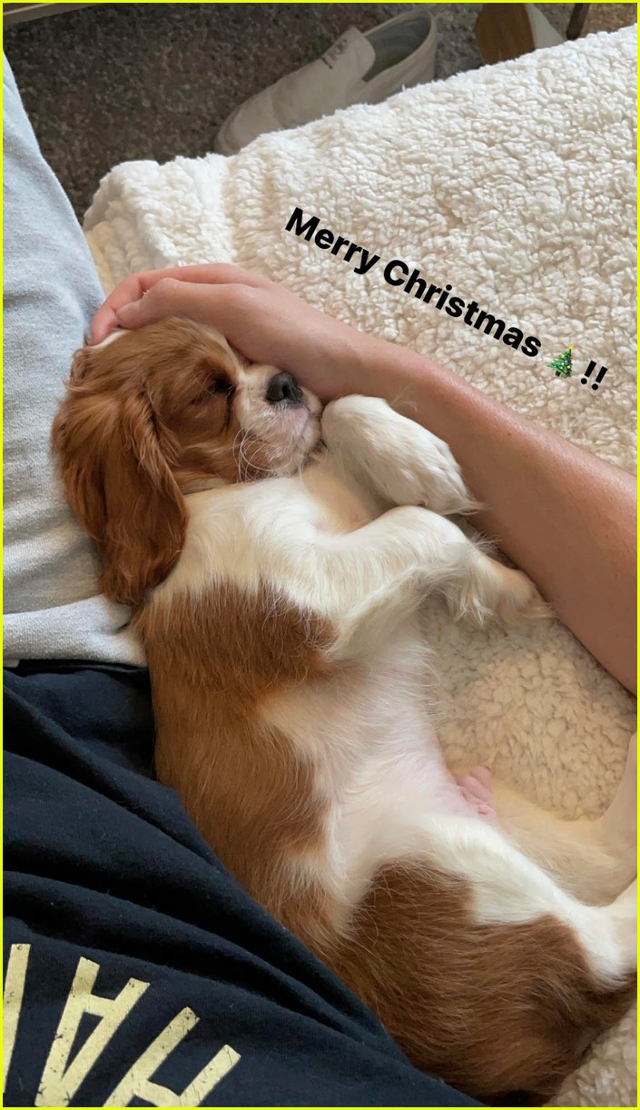 milo manheim got a super cute new puppy just before christmas 02