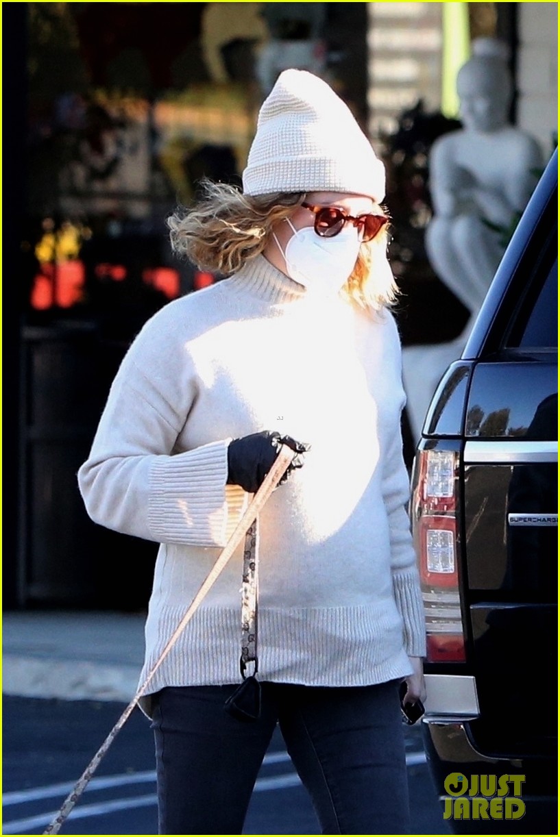 pregnant ashley tisdale takes her dogs while shopping 05