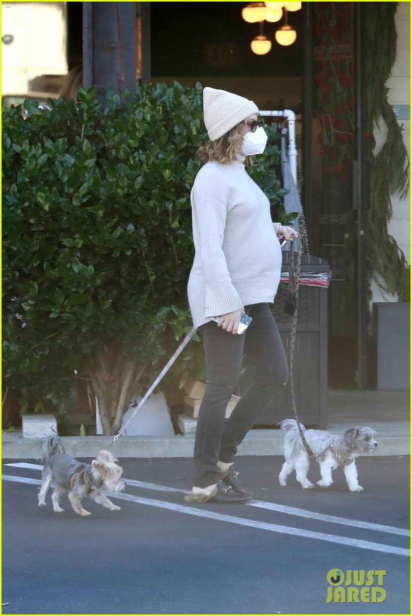 pregnant ashley tisdale takes her dogs while shopping 08