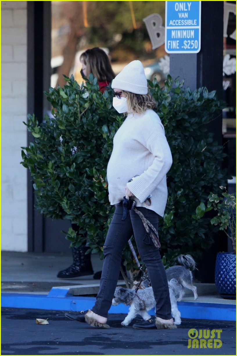 pregnant ashley tisdale takes her dogs while shopping 09