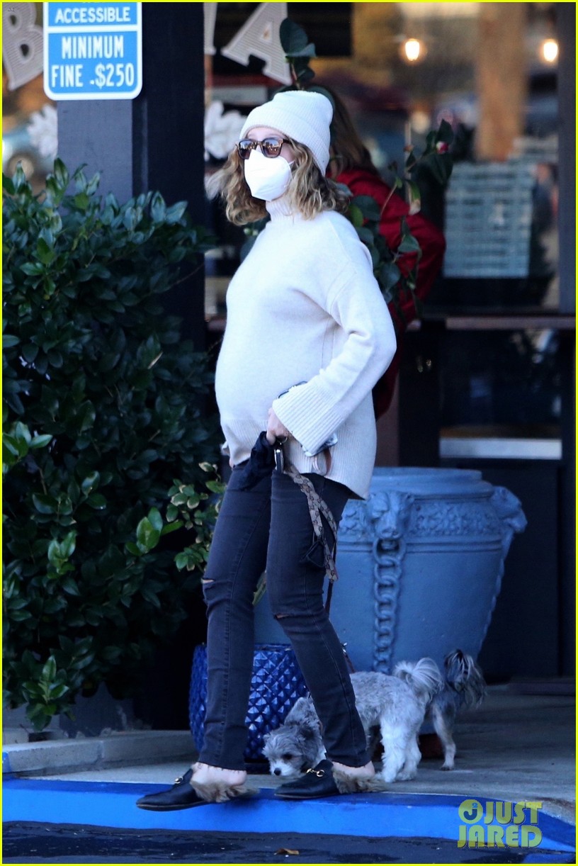 pregnant ashley tisdale takes her dogs while shopping 12