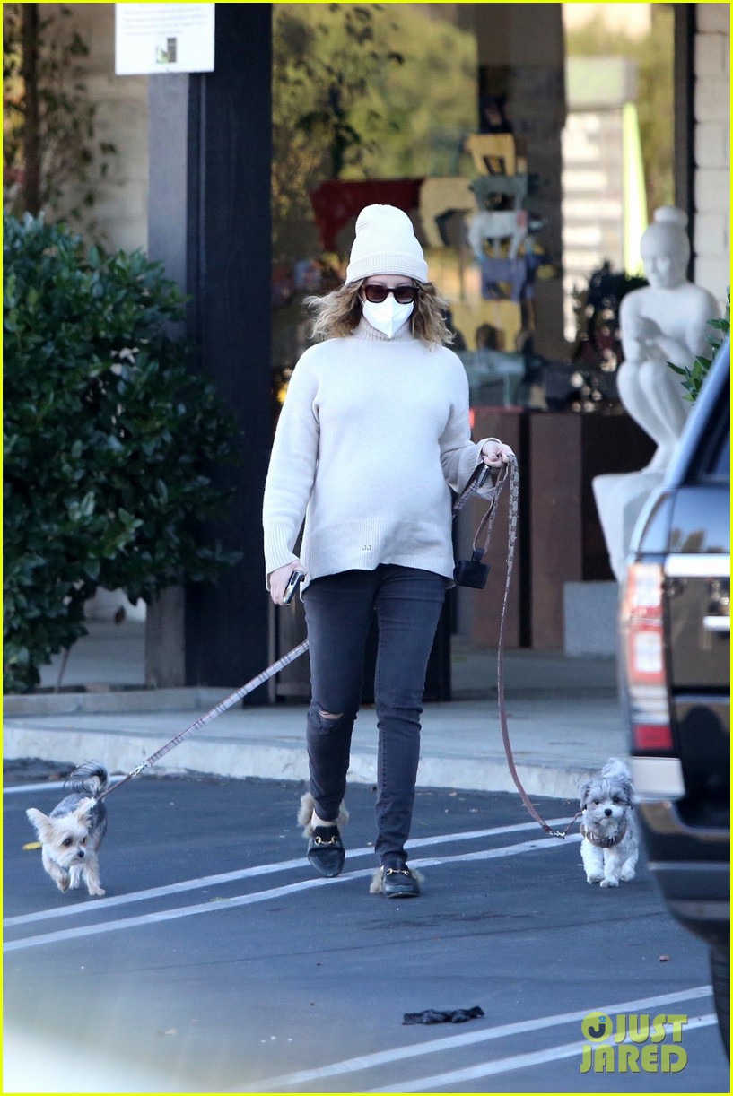 pregnant ashley tisdale takes her dogs while shopping 13
