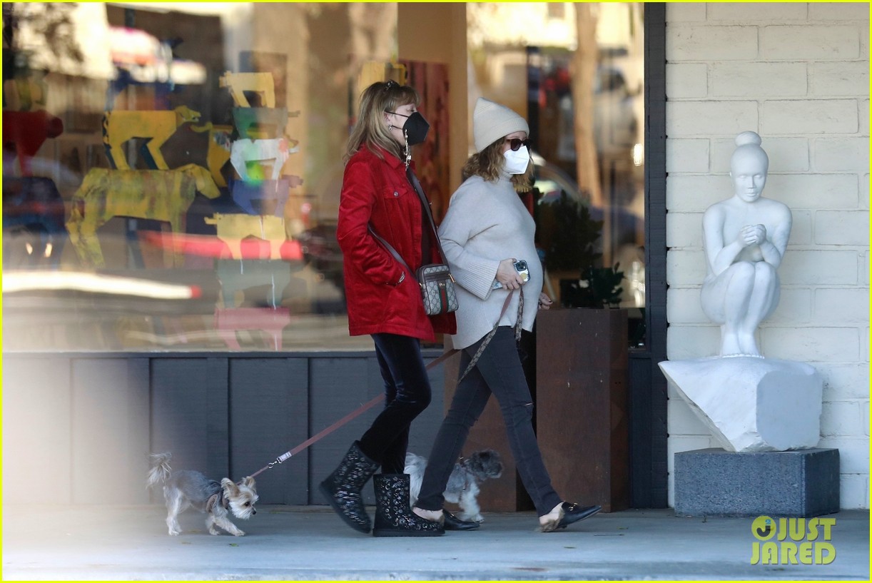 pregnant ashley tisdale takes her dogs while shopping 14