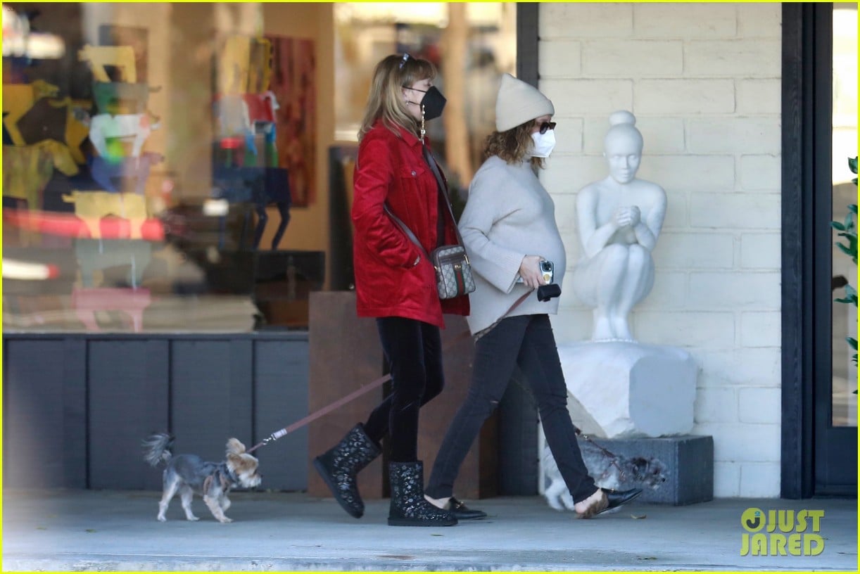pregnant ashley tisdale takes her dogs while shopping 15