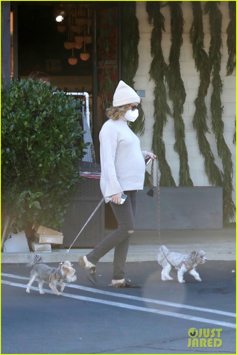 pregnant ashley tisdale takes her dogs while shopping 16