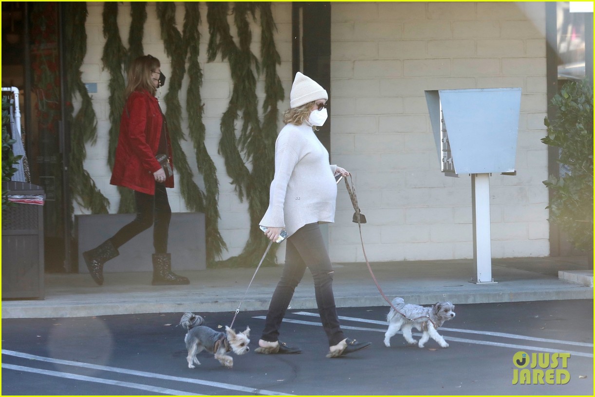 pregnant ashley tisdale takes her dogs while shopping 17