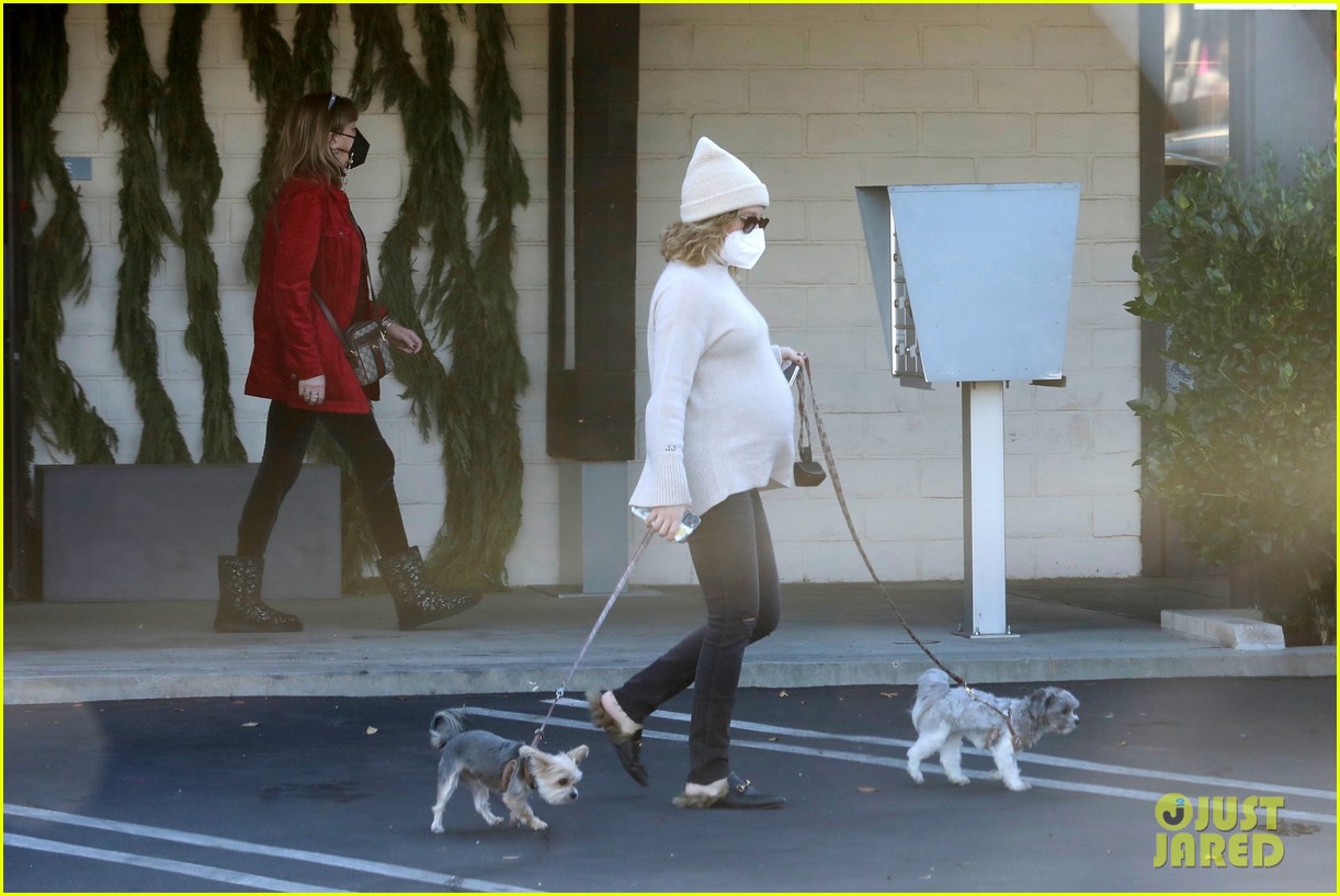 pregnant ashley tisdale takes her dogs while shopping 18