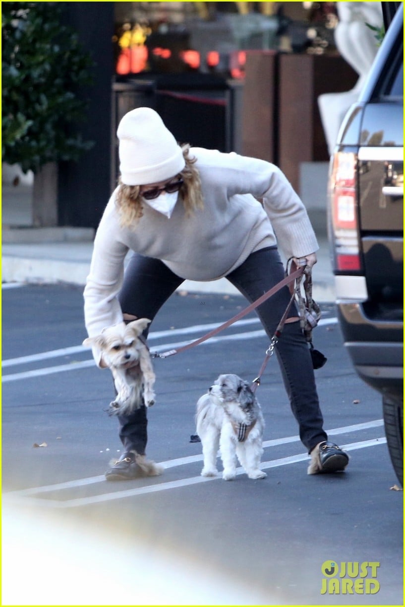 pregnant ashley tisdale takes her dogs while shopping 19