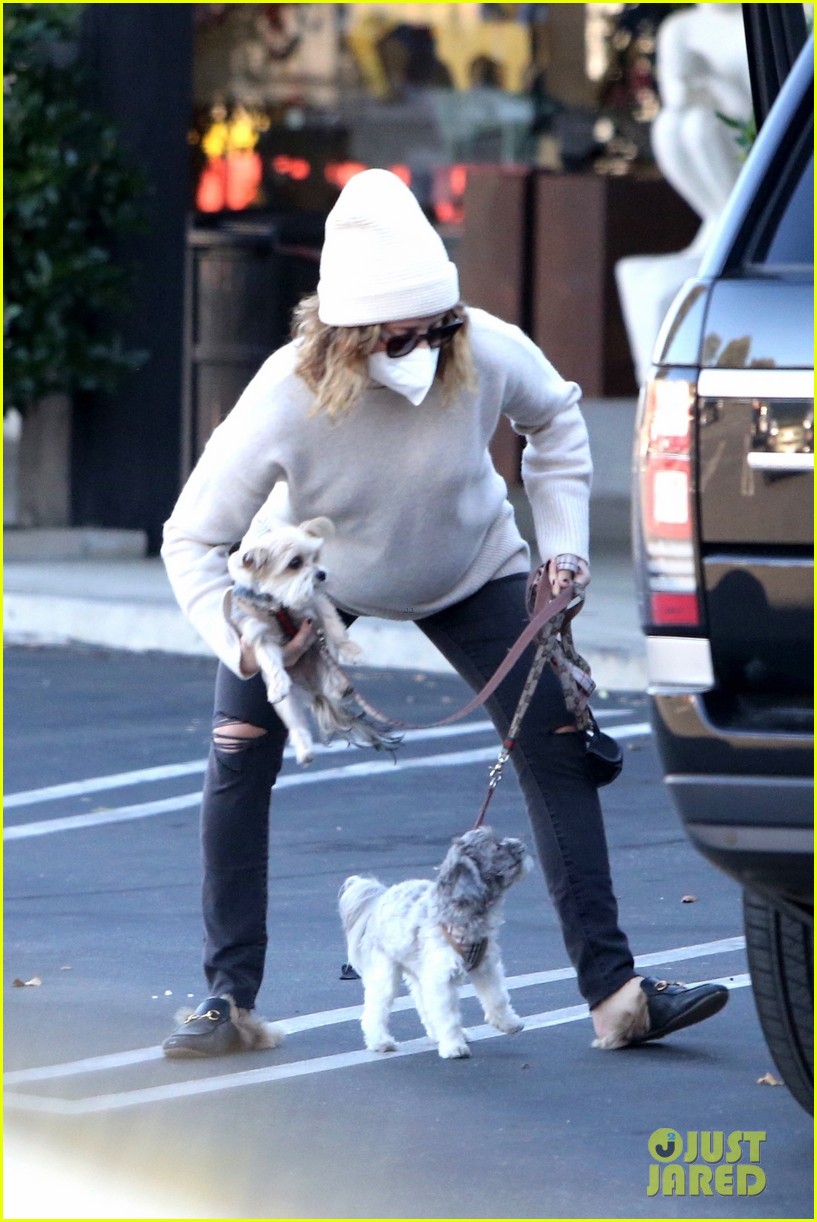 pregnant ashley tisdale takes her dogs while shopping 20