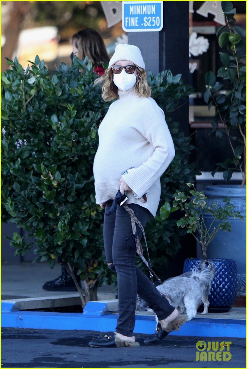 pregnant ashley tisdale takes her dogs while shopping 22