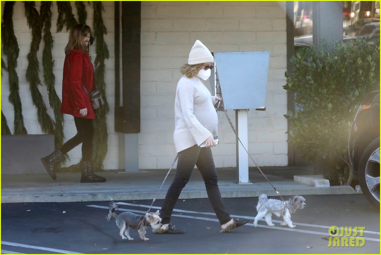 pregnant ashley tisdale takes her dogs while shopping 24