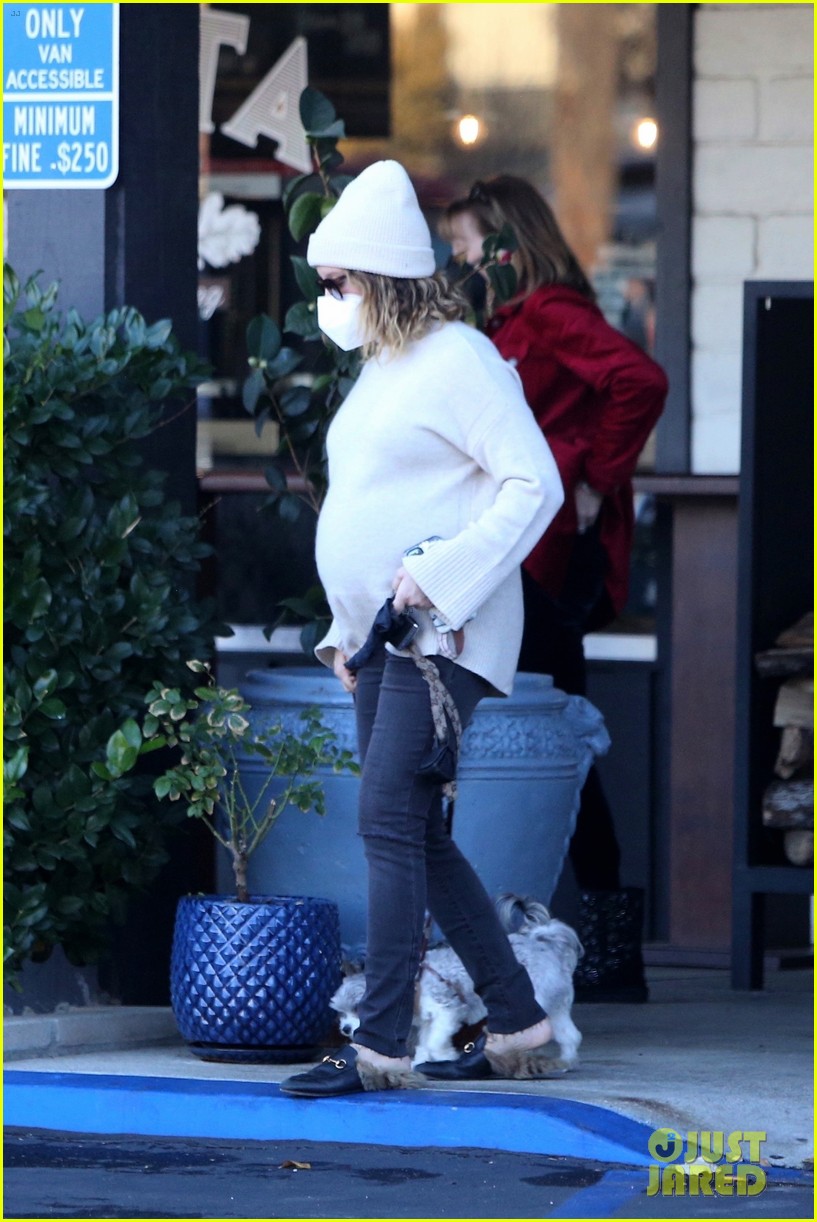 pregnant ashley tisdale takes her dogs while shopping 26
