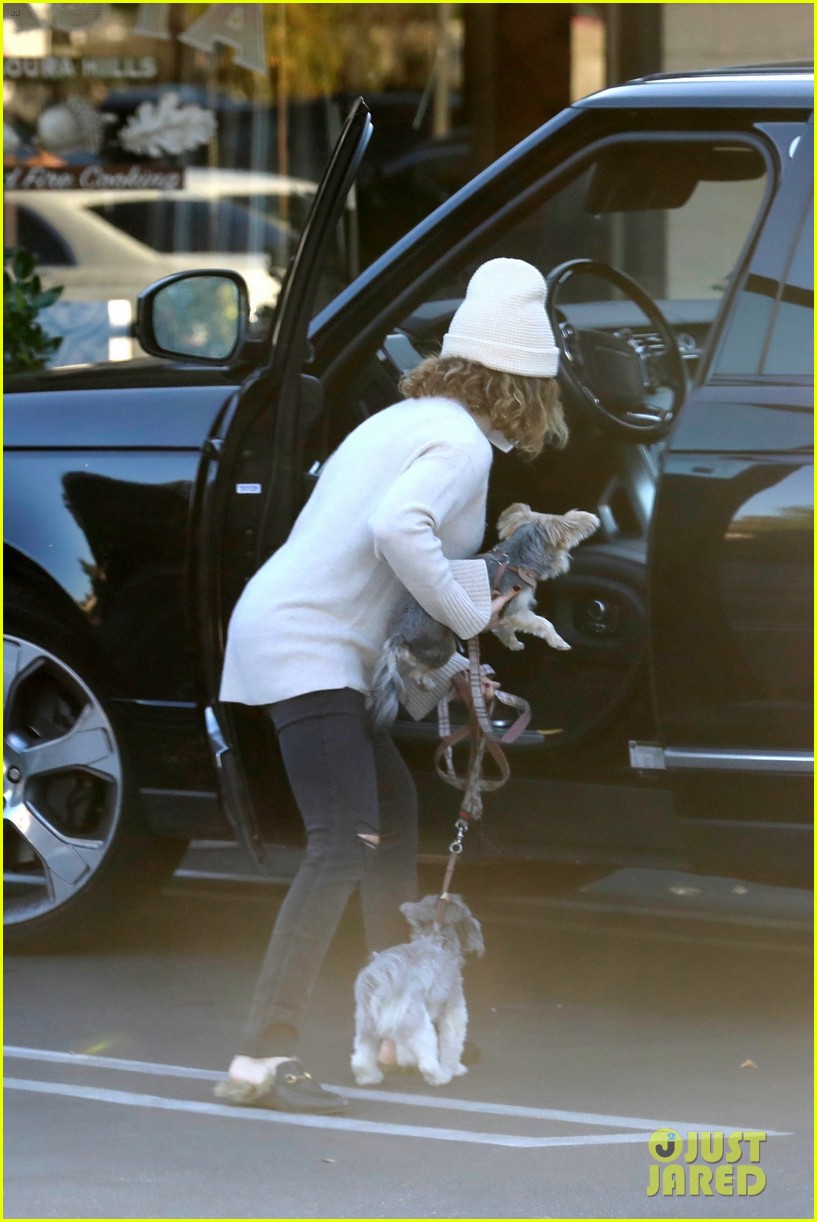 pregnant ashley tisdale takes her dogs while shopping 32