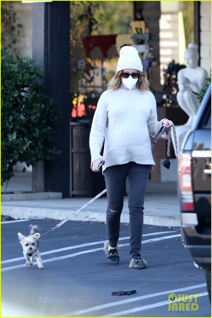 pregnant ashley tisdale takes her dogs while shopping 34