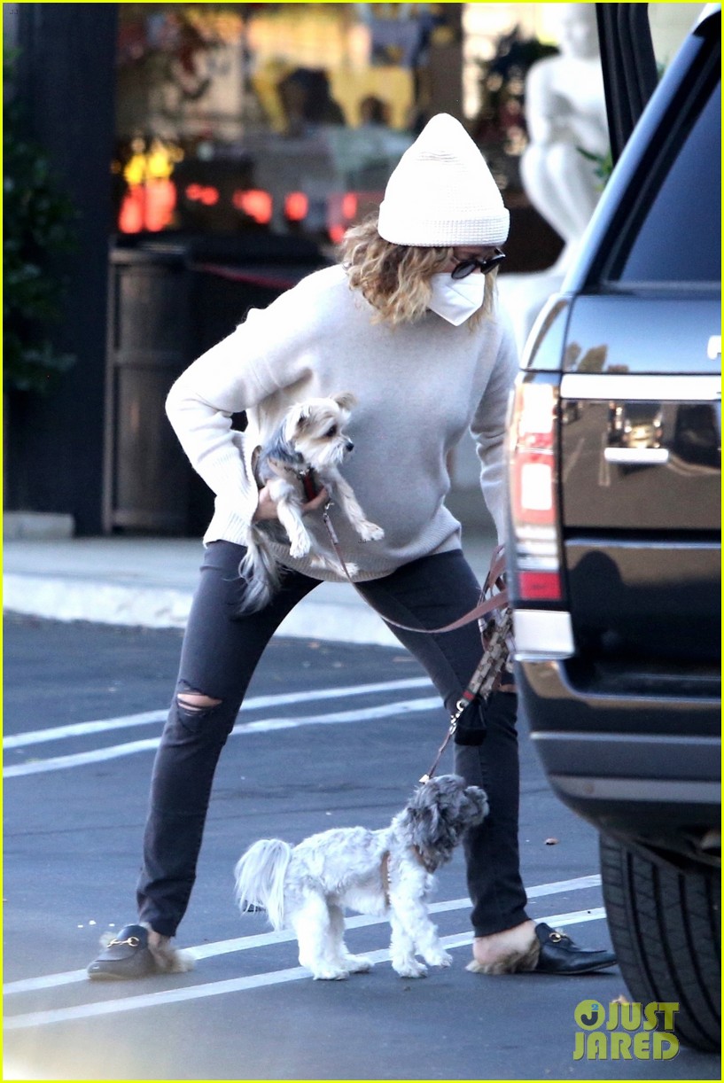 pregnant ashley tisdale takes her dogs while shopping 36