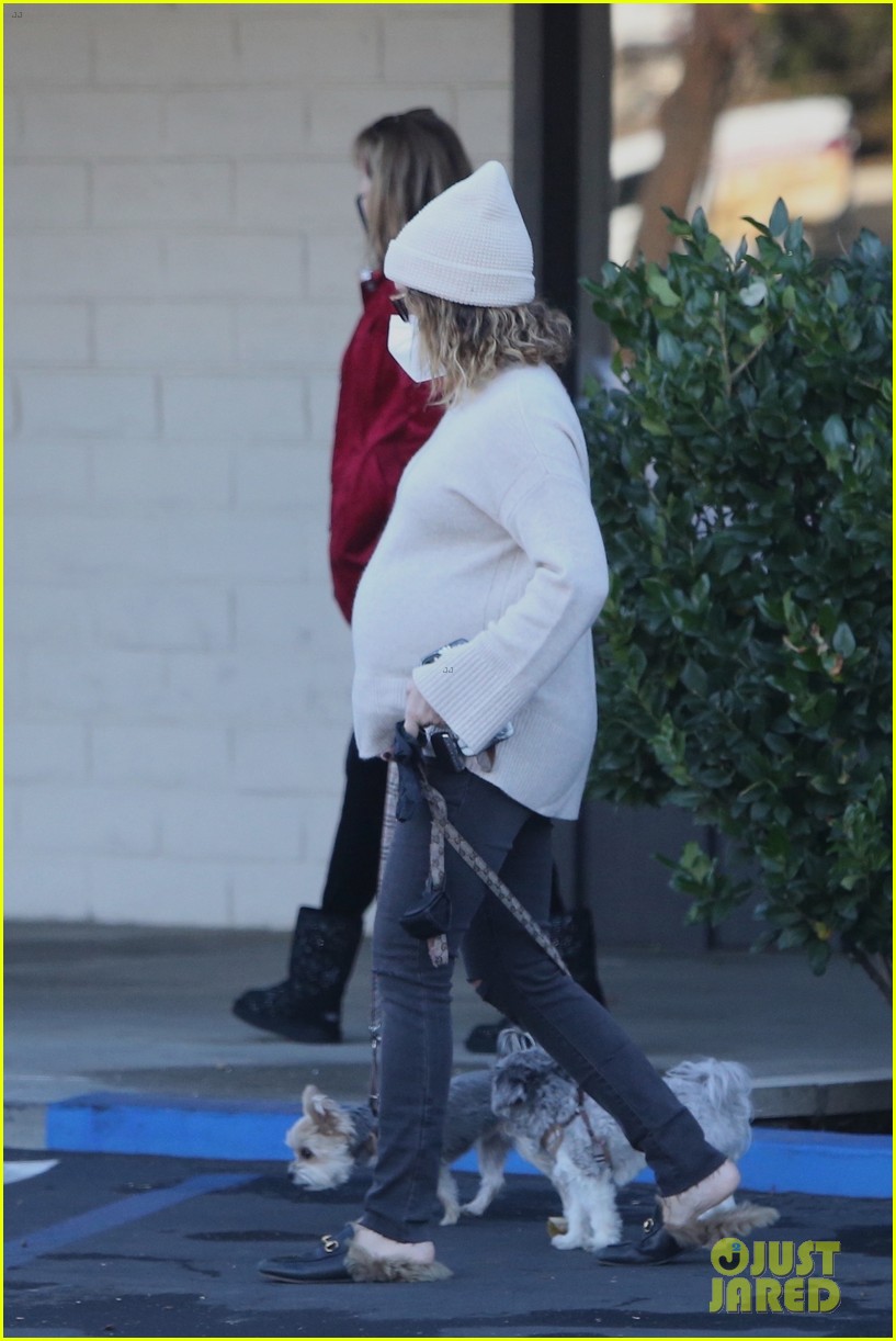 pregnant ashley tisdale takes her dogs while shopping 38
