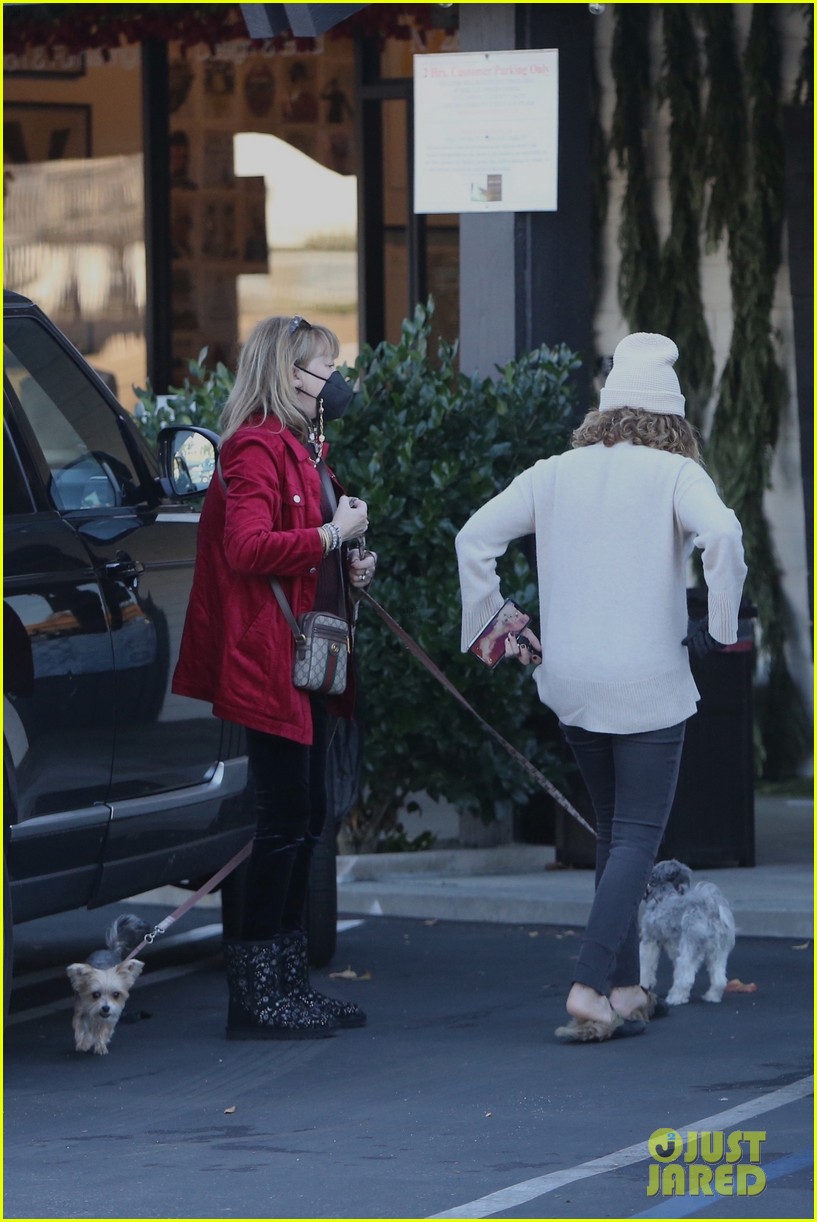 pregnant ashley tisdale takes her dogs while shopping 41