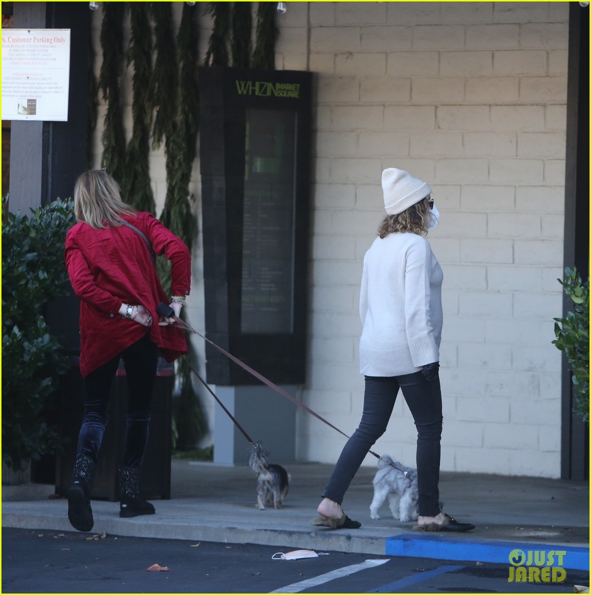 pregnant ashley tisdale takes her dogs while shopping 42