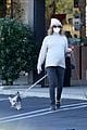 pregnant ashley tisdale takes her dogs while shopping 07