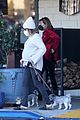 pregnant ashley tisdale takes her dogs while shopping 27