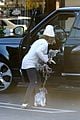 pregnant ashley tisdale takes her dogs while shopping 32