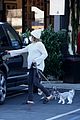 pregnant ashley tisdale takes her dogs while shopping 39