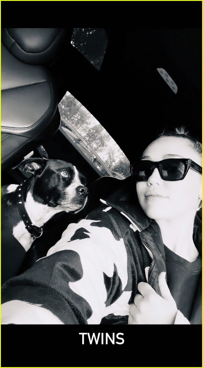 miley cyrus reveals her beloved dog mary jane has passed away 01