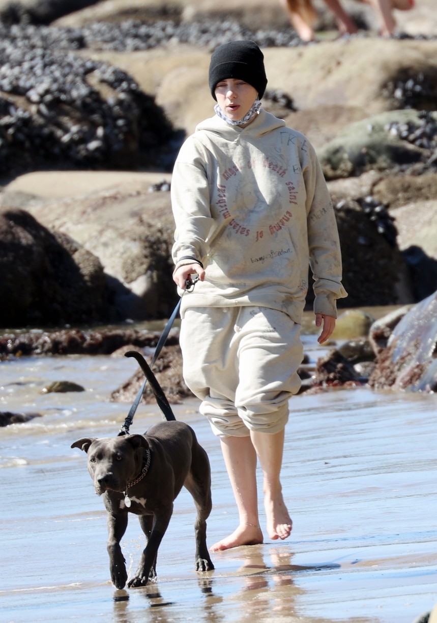 billie eilish beach outing with dogs brother 03