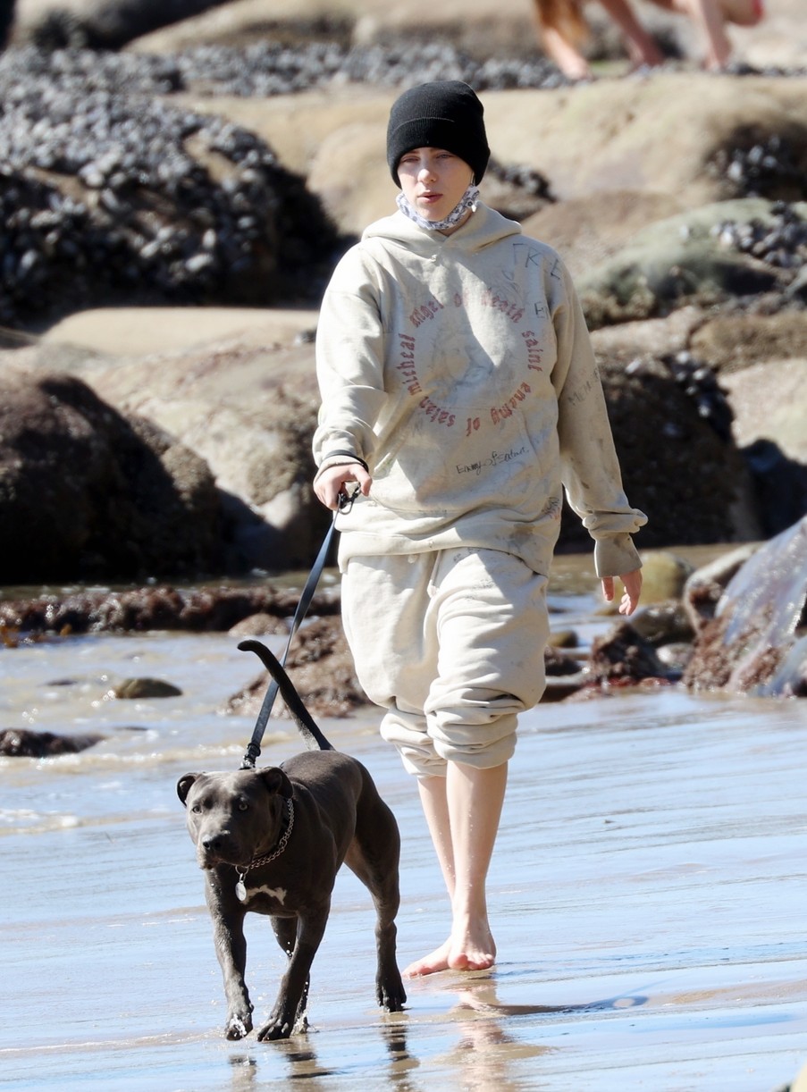 billie eilish beach outing with dogs brother 04