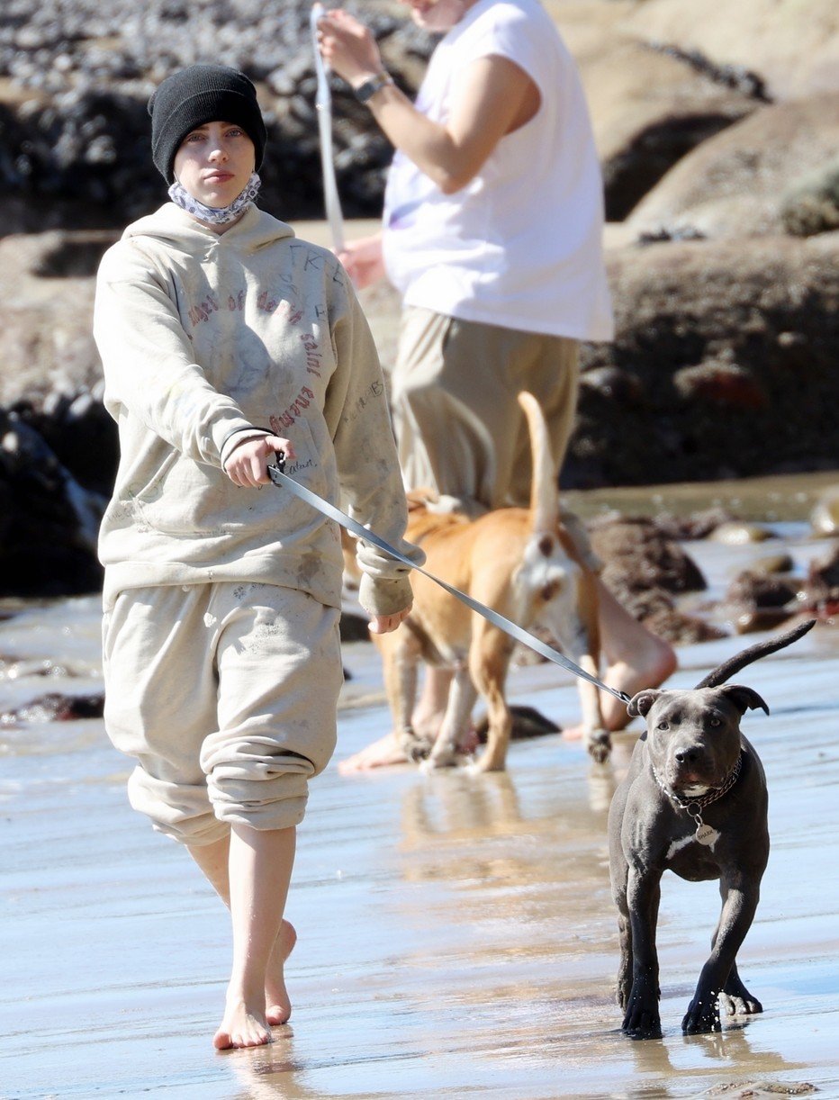 billie eilish beach outing with dogs brother 10