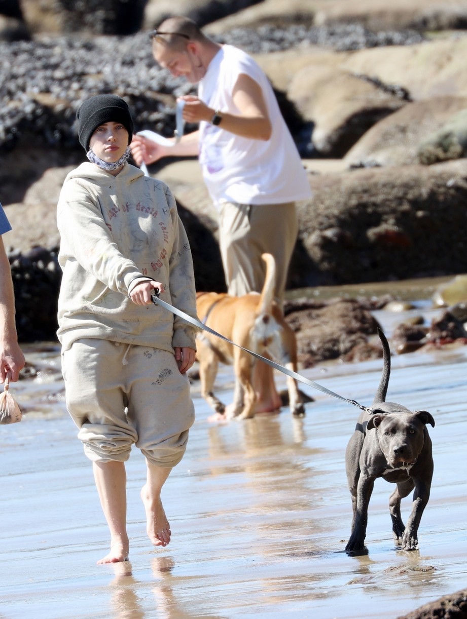 billie eilish beach outing with dogs brother 12