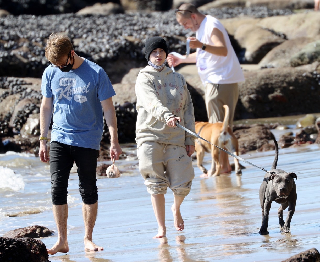 billie eilish beach outing with dogs brother 13
