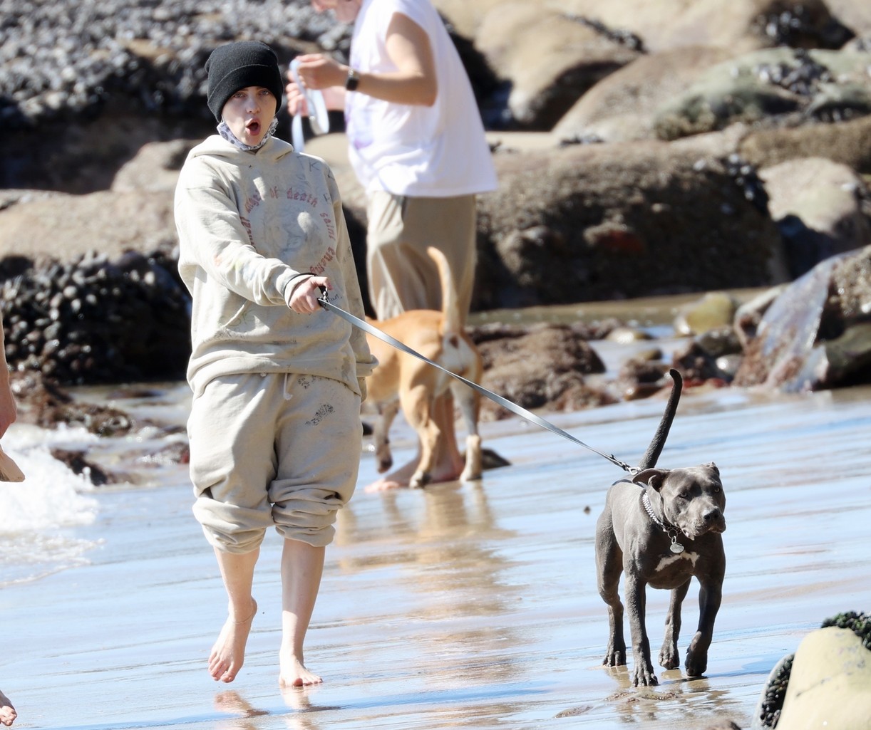billie eilish beach outing with dogs brother 14