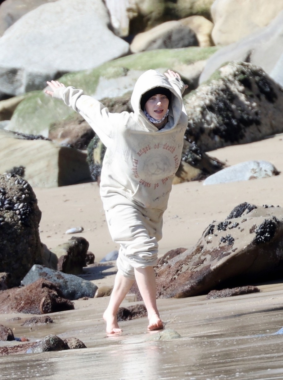 billie eilish beach outing with dogs brother 15