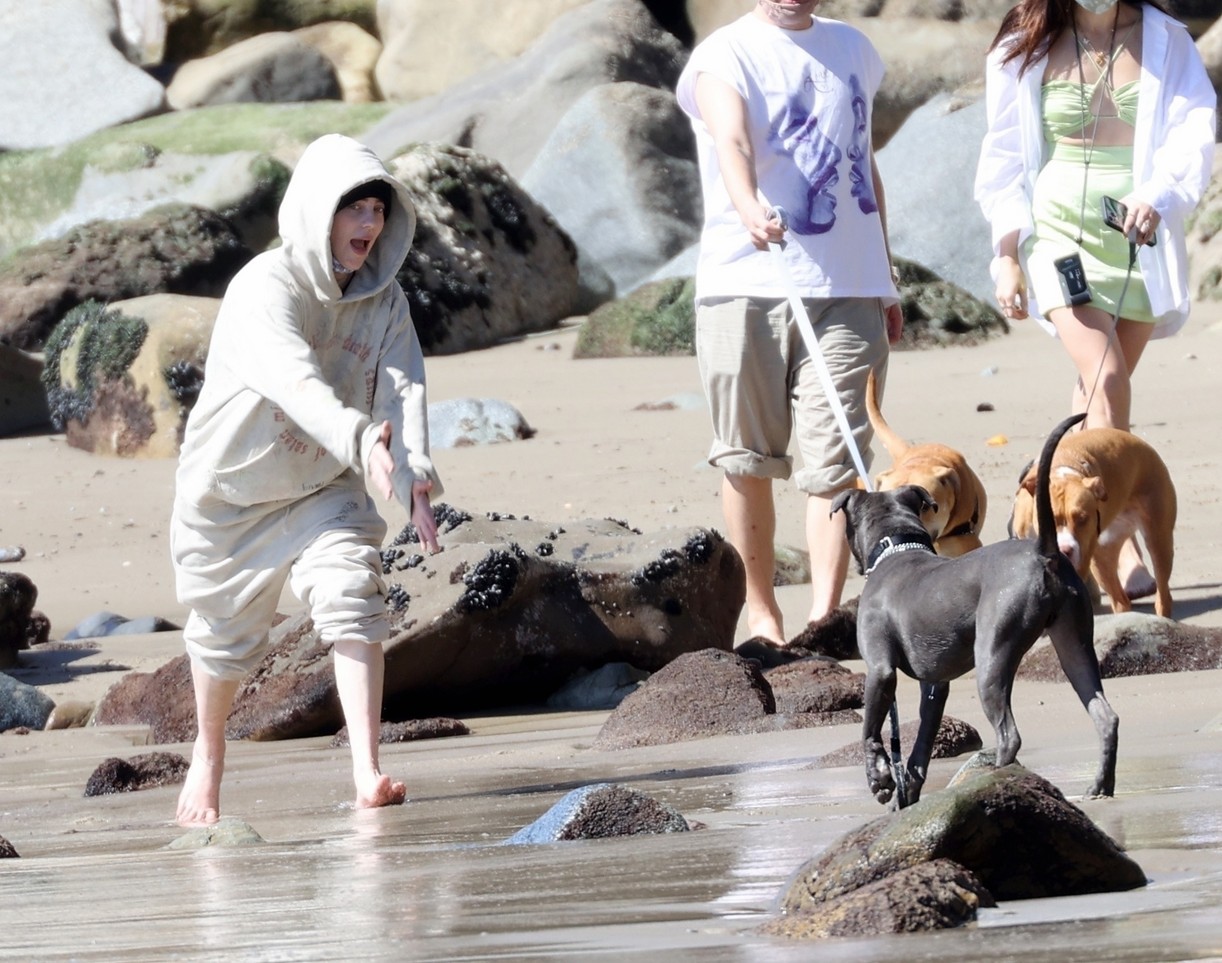 billie eilish beach outing with dogs brother 16