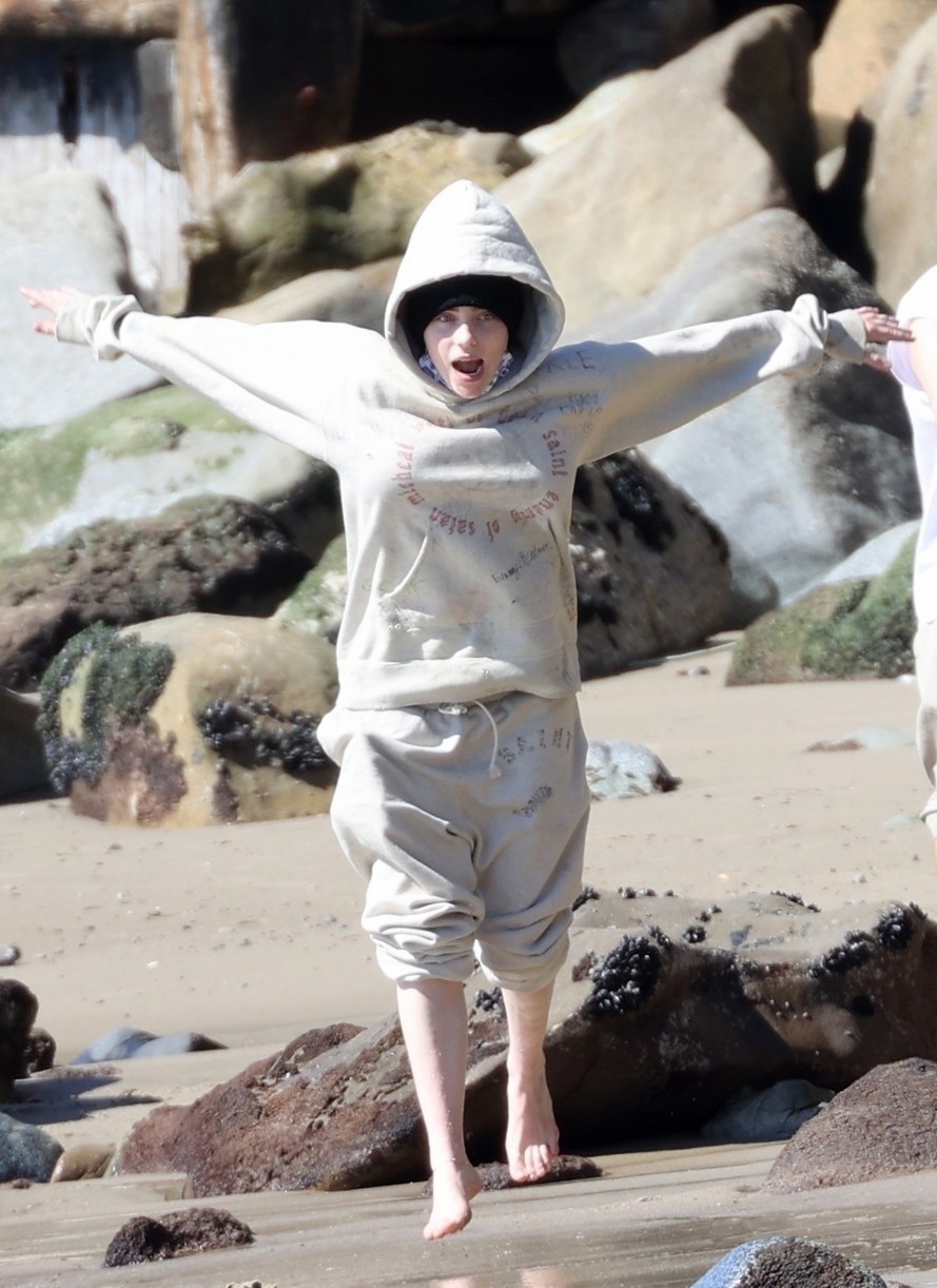 billie eilish beach outing with dogs brother 17