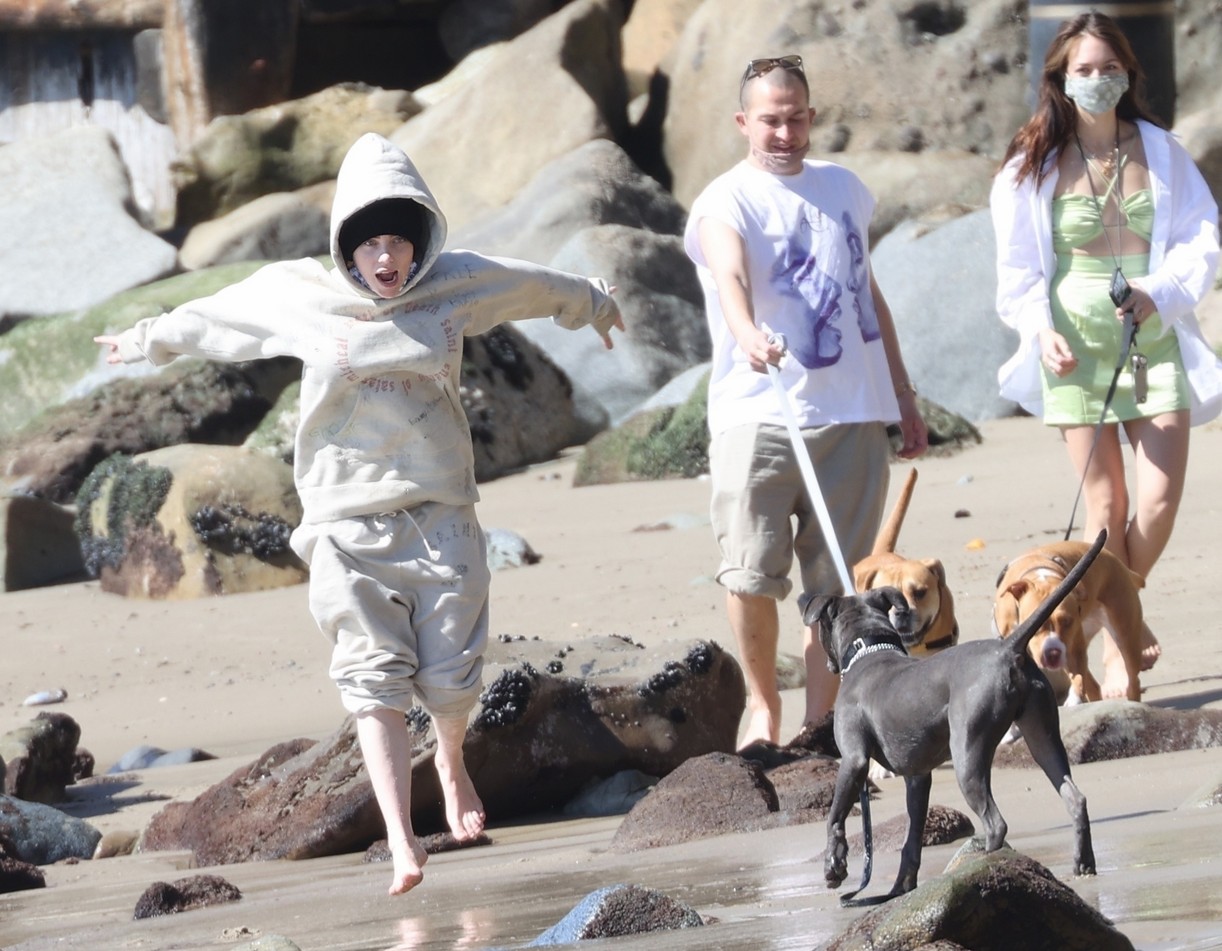 billie eilish beach outing with dogs brother 20