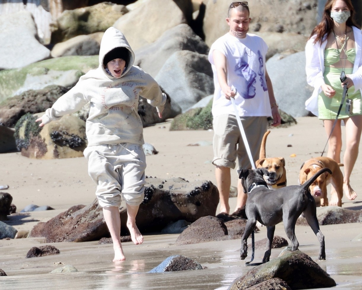 billie eilish beach outing with dogs brother 22