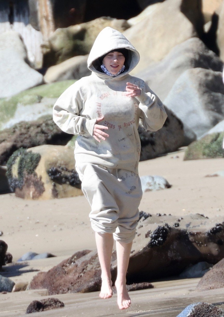 billie eilish beach outing with dogs brother 23