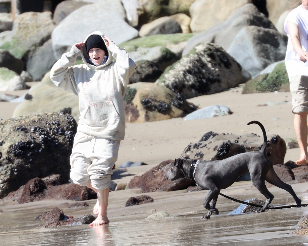 billie eilish beach outing with dogs brother 24