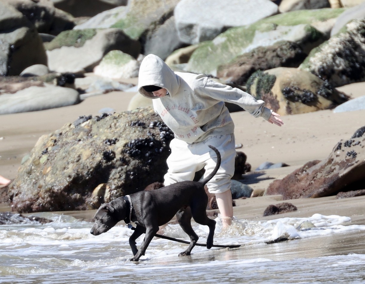 billie eilish beach outing with dogs brother 25