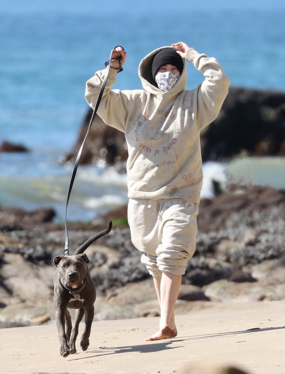 billie eilish beach outing with dogs brother 33